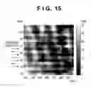 Fig. 17 - Calculation method, storage medium, information processing apparatus, and measurement apparatus