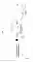 Fig. 02 - Apparatus and method of testing a stick