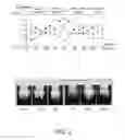 Fig. 03 - Optical sensor and optical sensor system