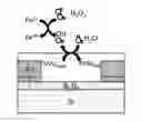 Fig. 01 - Method for measuring free radical based on conductivity change of conductive polymer