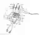 Fig. 01 - Device for measuring the conductivity of a liquid in order to determine very low levels of total organic carbon (TOC) in pure and ultra-pure water