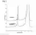 Fig. 03 - CATION EXCHANGER FOR LIQUID CHROMATOGRAPHY, PROCESS FOR PRODUCING SAME, AND USE THEREOF