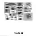 Fig. 12 - SUBMERSIBLE FLOW IMAGER