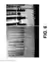 Fig. 07 - METHODS AND SYSTEMS FOR QUANTIFYING THE GRADE OF PETROLEUM OIL BASED ON FLUORESCENCE