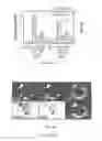 Fig. 08 - METHODS OF TREATING OR PREVENTING PERIODONTITIS AND DISEASES ASSOCIATED WITH PERIODONTITIS