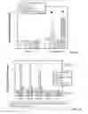 Fig. 19 - METHODS OF TREATING OR PREVENTING PERIODONTITIS AND DISEASES ASSOCIATED WITH PERIODONTITIS