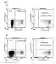 Fig. 06 - Automatable method for the identification, quantification and discrimination of specific signals in relation to non-specific signals in detection methods by means of a detector