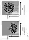 Fig. 09 - Automatable method for the identification, quantification and discrimination of specific signals in relation to non-specific signals in detection methods by means of a detector