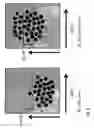 Fig. 10 - Automatable method for the identification, quantification and discrimination of specific signals in relation to non-specific signals in detection methods by means of a detector