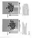 Fig. 11 - Automatable method for the identification, quantification and discrimination of specific signals in relation to non-specific signals in detection methods by means of a detector