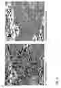 Fig. 13 - Automatable method for the identification, quantification and discrimination of specific signals in relation to non-specific signals in detection methods by means of a detector