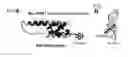 Fig. 02 - Self-assembled peptide nanostructures by exploiting conformational change, biosensor using the same and detection method of biomolecules using the same