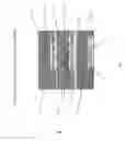 Fig. 07 - DETECTING COMPLEMENT ACTIVATION