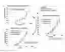 Fig. 12 - DETECTING COMPLEMENT ACTIVATION