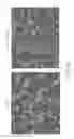 Fig. 06 - Taste receptor internalization assay