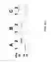 Fig. 06 - Immunoreactive protein orthologs of and 