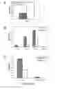 Fig. 08 - Immunoreactive protein orthologs of and 