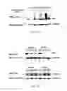 Fig. 18 - Modulators of itch ubiquitinase activity