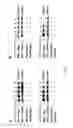 Fig. 24 - Modulators of itch ubiquitinase activity