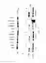 Fig. 25 - Modulators of itch ubiquitinase activity