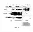 Fig. 28 - Modulators of itch ubiquitinase activity