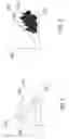 Fig. 03 - Radar target detection via multi-dimensional cluster of reflectors