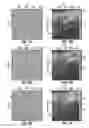 Fig. 12 - Deghosting with adaptive operators