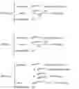 Fig. 02 - Homogeneous inversion for multi-component induction tools