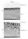 Fig. 07 - Laminate of optical elements having a layer of a pressure-sensitive adhesive, and a method for producing such laminate of optical elements