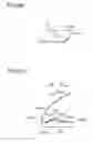 Fig. 40 - Light projection apparatus, light condensing unit, and light emitting apparatus