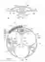 Fig. 02 - Tool for opening an extruded profiled body of a power cord assembly device