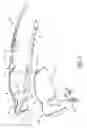 Fig. 03 - EYEGLASS FRAME STRUCTURE HAVING U-SHAPED WIND PASSAGE AND EYEGLASSES HAVING THE SAME