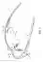 Fig. 08 - EYEGLASS FRAME STRUCTURE HAVING U-SHAPED WIND PASSAGE AND EYEGLASSES HAVING THE SAME