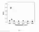 Fig. 14 - Supercontinuum light source