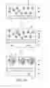 Fig. 14 - Resist pattern forming method, coating and developing apparatus and storage medium