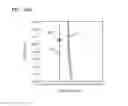 Fig. 26 - Lithography metrology method for determining best focus and best dose and lithography monitoring method using the same