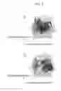 Fig. 09 - Image forming apparatus correcting unevenness of potential distribution due to change of exposure spot shape of light beam on photosensitive member