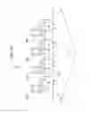 Fig. 14 - Image forming apparatus