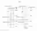 Fig. 07 - IMAGE FORMING APPARATUS