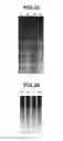 Fig. 06 - Image forming apparatus that suppresses fluctuations in density of successively formed images even if charge amount of developer changes