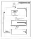 Fig. 01 - Active dead band for noise reduction in high response high bandwidth control systems