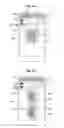 Fig. 14 - Smartphone