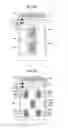Fig. 15 - Smartphone