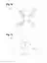 Fig. 16 - Computer-Implemented System And Method For Adjusting A Display Of Document Clusters