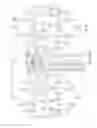Fig. 09 - RAIDed memory system management