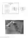 Fig. 02 - SYSTEMS AND METHODS FOR IMAGING AND GENERATION OF EXECUTABLE PROCESSOR INSTRUCTIONS BASED ON ORDERED OBJECTS