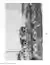 Fig. 07 - SYSTEMS AND METHODS FOR IMAGING AND GENERATION OF EXECUTABLE PROCESSOR INSTRUCTIONS BASED ON ORDERED OBJECTS