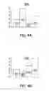 Fig. 04 - Just-in-time expensive compilation hints