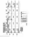 Fig. 08 - Parallelization in virtual machine operation