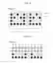 Fig. 11 - Memory system, error correction device, and error correction method